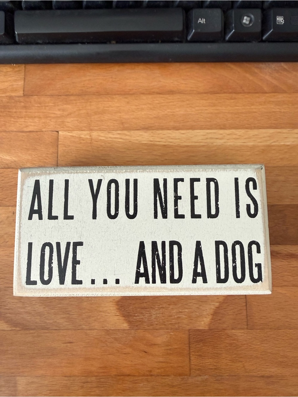 All you need is love and a dog